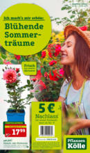 Pflanzen-Kölle Gartencenter Pflanzen-Kölle: Blühende Sommerträume - bis 22.06.2024