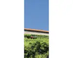 Hornbach Duschrückwand Schulte Decodesign 2550x1000x3 mm Esslinger Burg Mauer