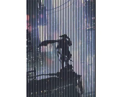 Akustikpaneel digital bedruckt Samurai 1 19x1693x2400 mm Set = 3 Einzelpaneele