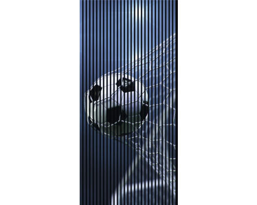 Akustikpaneel digital bedruckt Soccer 2 19x1133x2400 mm Set = 2 Einzelpaneele