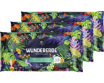 Hornbach Wundererde 3x20 L torffreie Universalerde mit Pflanzenkohle