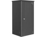 Hornbach Geräteschrank biohort Gr. 90 mit Regalböden und Gerätehalter, 93 x 83 x 182,5 cm, dunkelgrau-metallic