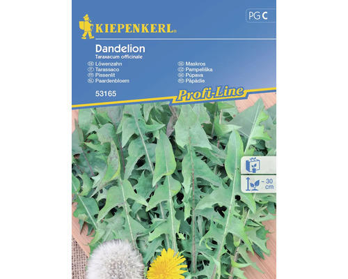 Gemüsesamen Kiepenkerl Löwenzahn für Salate 'Dandelion'