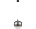 Hornbach Pendelleuchte Globo MAXY E27 60 W 1-flammig IP 20, schwarz (15548H1)