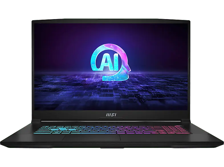 MSI Katana A17 AI B8VG-832 Gaming Notebook 17,3 Zoll, Full-HD, AMD Ryzen™ 7 8845HS, 32 GB RAM, 1000 SSD, Windows 11 Home, GeForce RTX™ 4070, Core Black