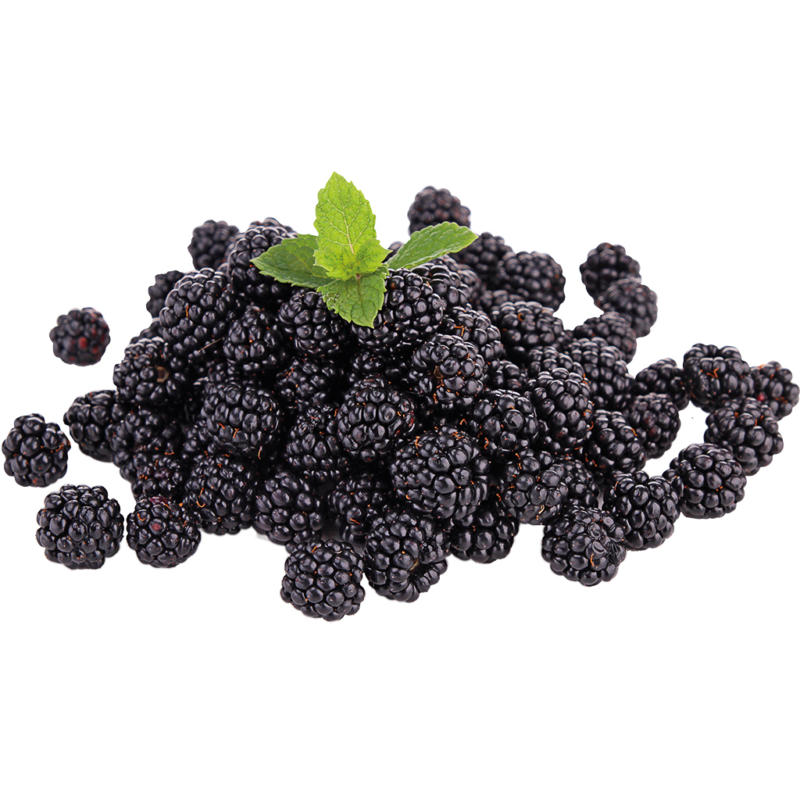 Beere - Brombeeren