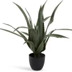 JYSK Plantă artificială CELIUS 65cm aloe vera