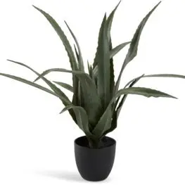 JYSK Plantă artificială CELIUS 65cm aloe vera