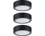 Hornbach LED Aufbauleuchten-Set Pukk 3,5 W Ø 65 mm schwarz 3 Stk.