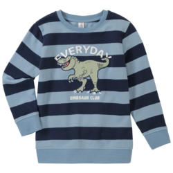 Jungen Sweatshirt mit Dino-Applikation