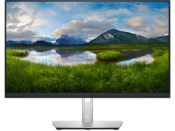 Monitor DELL 23.8'''/60.47 cm P2422H