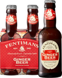 Fentimans Ginger Beer , 4 x 20 cl