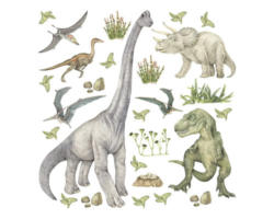 Wandsticker Dinos 30x30 cm