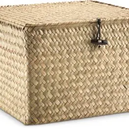 JYSK Cutie depozitare ALVIN 26x26x17cm