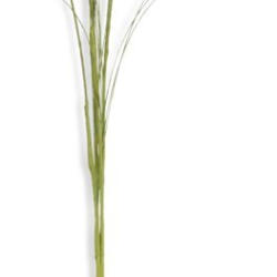 JYSK Floare artificială HELFRED 53cm verde
