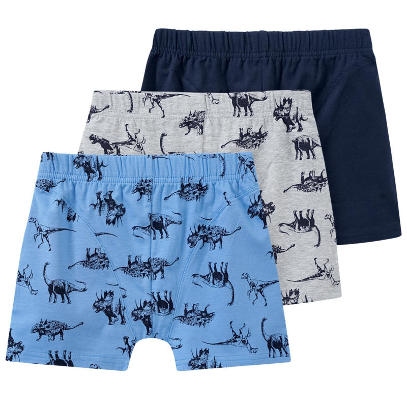 3 Jungen Boxer mit Dinos