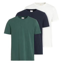 3 Herren T-Shirts unifarben (Nur online)