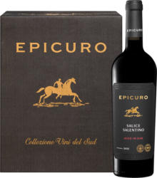 Epicuro Salice Salentino DOP Aged in Oak, Italia, Puglia, 2023, 6 x 75 cl