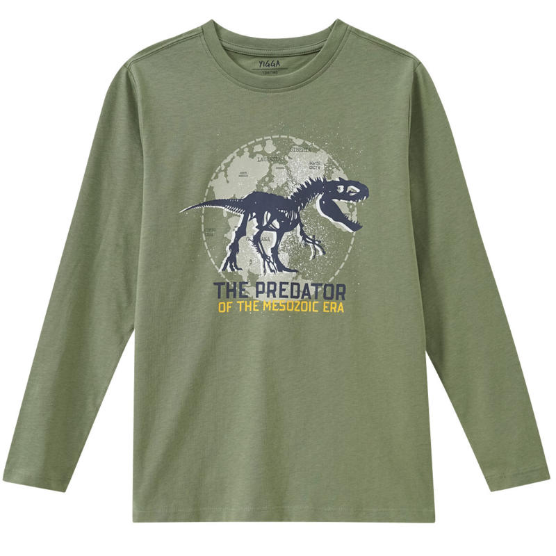 Jungen Langarmshirt mit Dino-Print