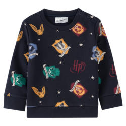 Harry Potter Sweatshirt mit Wappen-Motiven (Nur online)