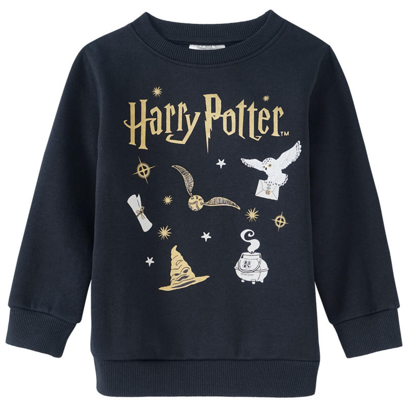 Harry Potter Sweatshirt mit Print (Nur online)