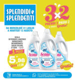 Splendidi e Splendenti 3x2 - al 13.08.2024