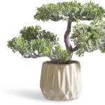 JYSK JYSK Plantă artificială BRYNJAR 22cm