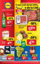 Lidl Catalog Lidl până în data de 25.08.2024 - până la 25-08-24