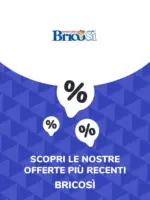 BricoSi Offerte BricoS&igrave; - al 14.08.2025