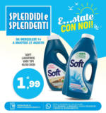 Splendidi e Splendenti E...state con noi! - al 27.08.2024