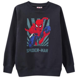 Spider-Man Sweatshirt mit Print