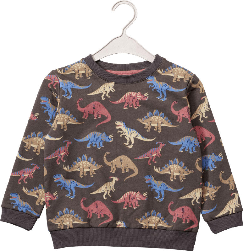 ALANA Sweatshirt mit Dino-Motiv, grau, Gr. 104