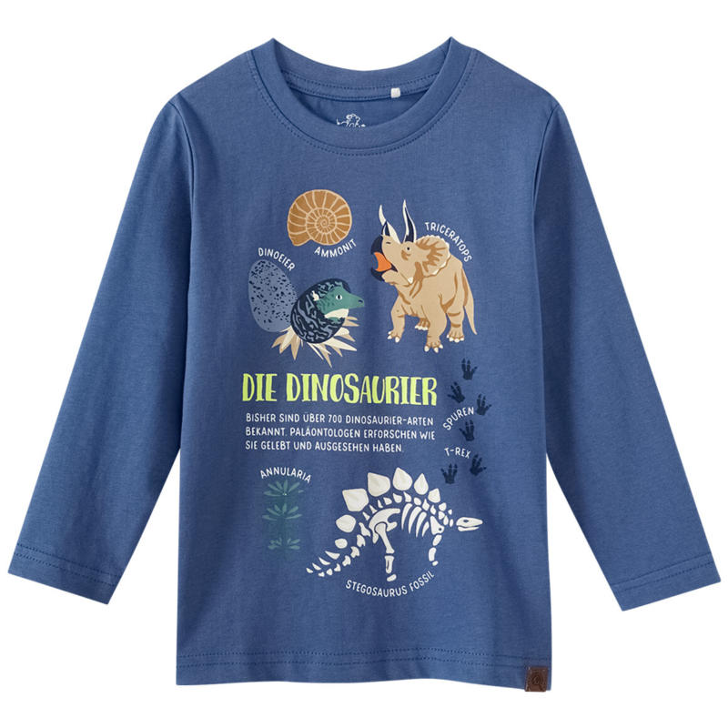 Kinder Langarmshirt mit Dinosaurier-Print (Nur online)