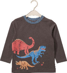 ALANA Langarmshirt Pro Climate mit Dino-Motiv, grau, Gr. 104