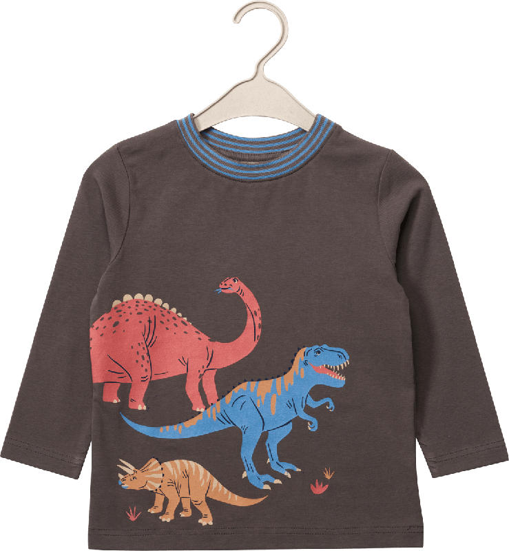 ALANA Langarmshirt Pro Climate mit Dino-Motiv, grau, Gr. 128