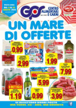 IperTriscount Un mare di offerte - al 29.08.2024