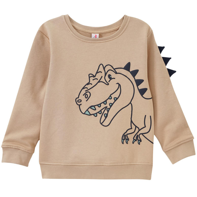 Jungen Sweatshirt mit Dino-Print