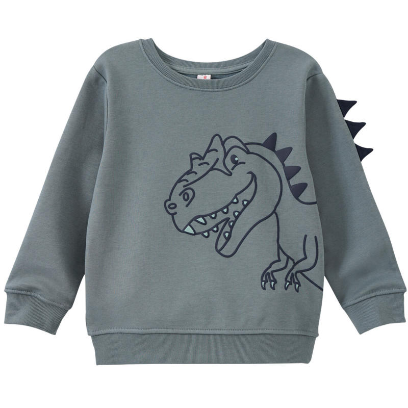 Jungen Sweatshirt mit Dino-Print