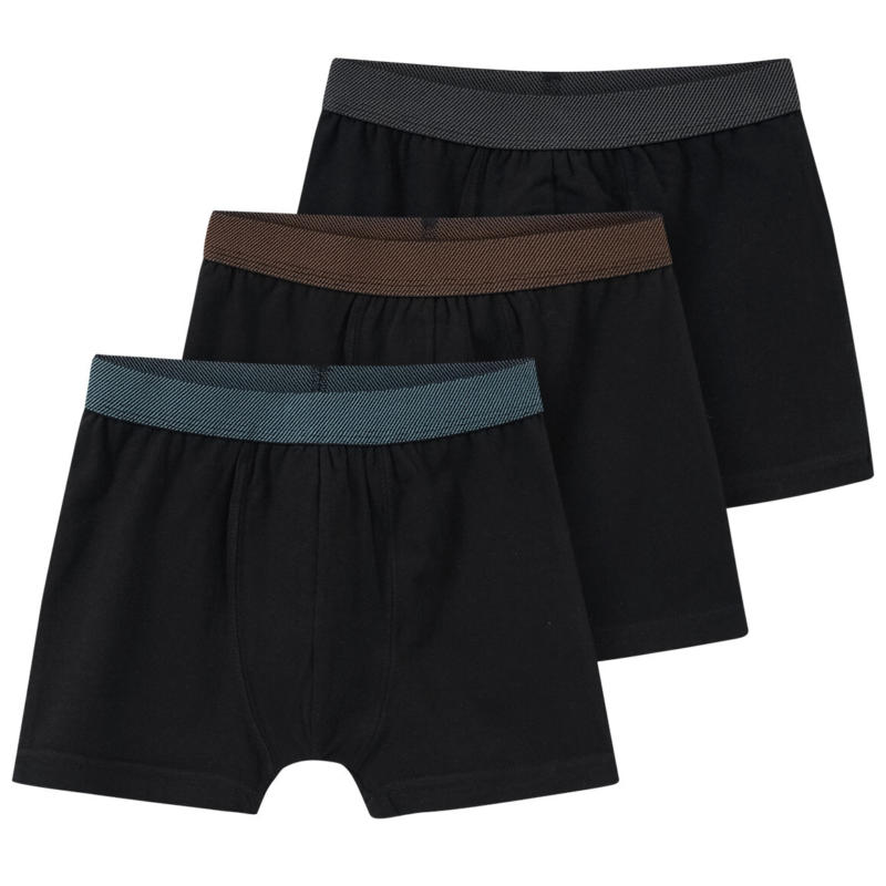 3 Jungen Boxer mit Webbund