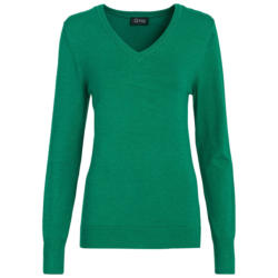 Damen Feinstrickpullover (Nur online)