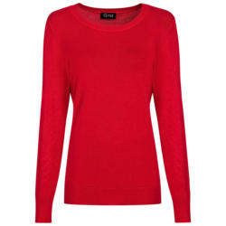 Damen Feinstrickpullover (Nur online)