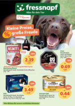 Fressnapf Fressnapf: Kleine Preise, große Freude - bis 07.09.2024