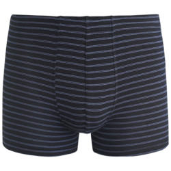 Herren Retroshorts mit Streifen