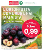 Eurospar L'ortofrutta come non l'hai mai vista. - al 08.09.2024