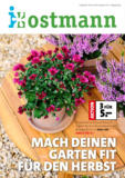 Mach Deinen Garten fit für den Herbst