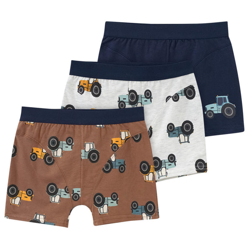 3 Jungen Boxer mit Webbund