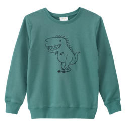 Jungen Sweatshirt mit Dino-Print (Nur online)