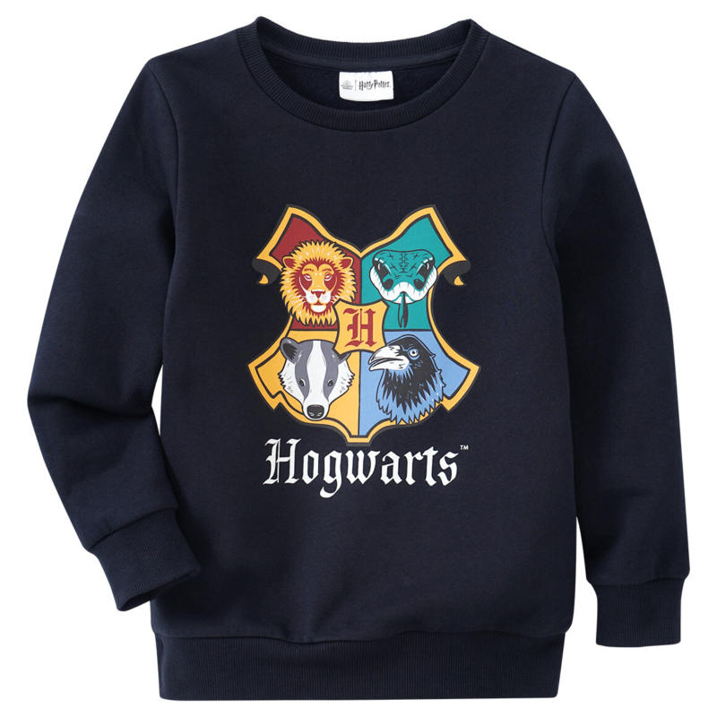 Harry Potter Sweatshirt mit Print (Nur online)