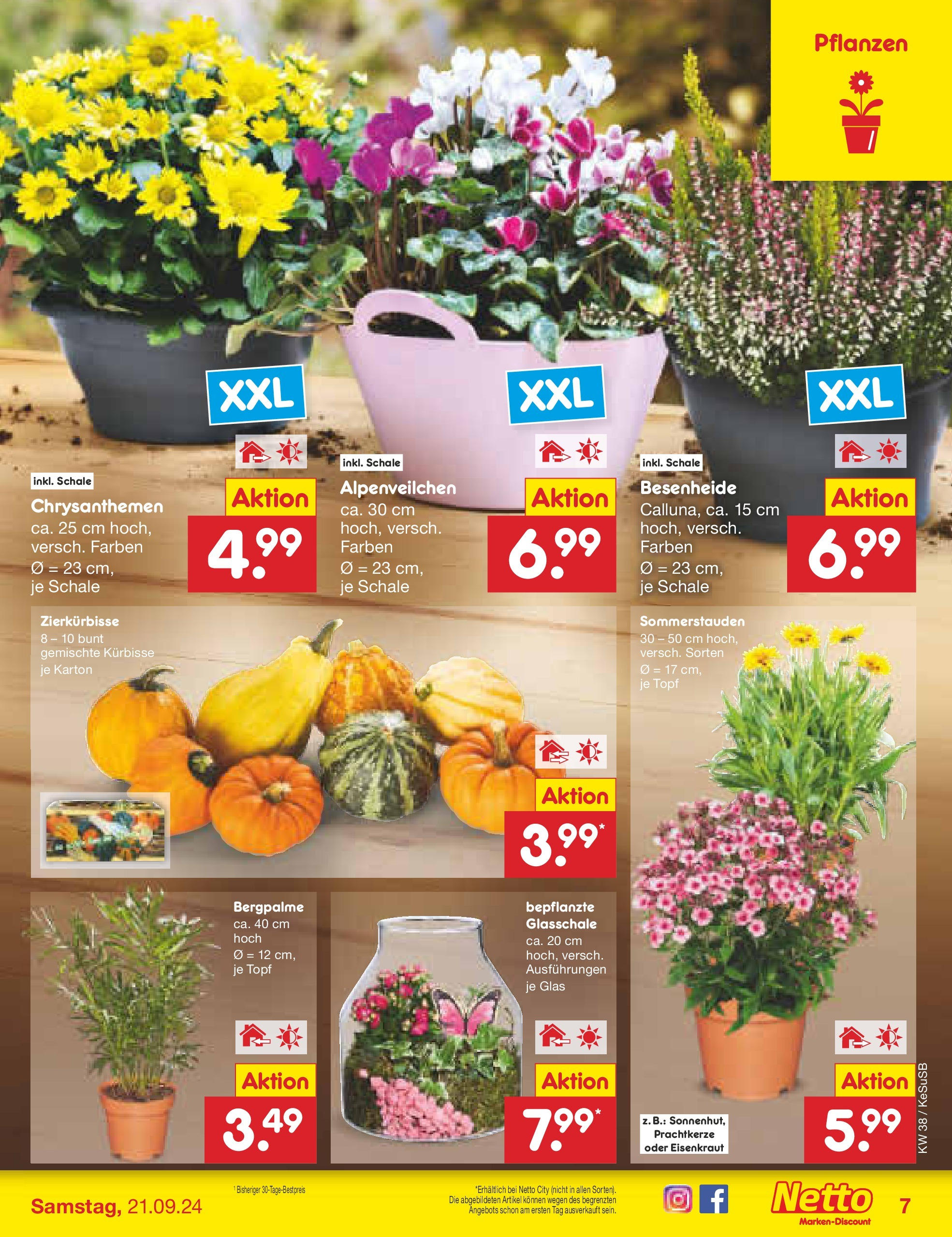 Netto Marken-Discount - Rheinland-Pfalz (ab 16.09.2024) » Angebote | Seite: 7