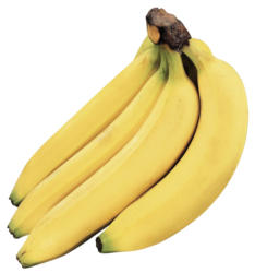 Bio Fairtrade Bananen